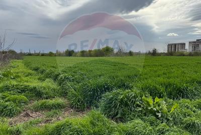 Teren cu PUZ aprobat –  Destinație logistică, industrială și servicii - 17