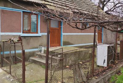 Seimenii Mici  Casa  Individuala 3 Camere Chirpici  S.teren  2100 Mp/42 Acte OK - 15