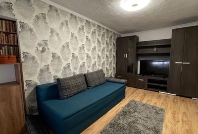 CASA RENOVATA DE VANZARE, SALONTA - 8