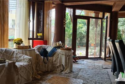 Super afacere, vila cu aspect de conac cu spatii moderne dar si clasice antichiz - 6