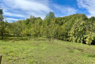 Teren 9.800 mp – Investiție ideală în mijlocul naturii | 10€/mp - Comision 0% - 8