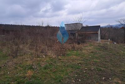 1644mp teren intravilan pentru constructii, Barnova. - 3