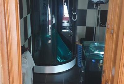 Casa 3 camere, 2 bai, teren 200 mp, Radu Negru - Buzaului - 23