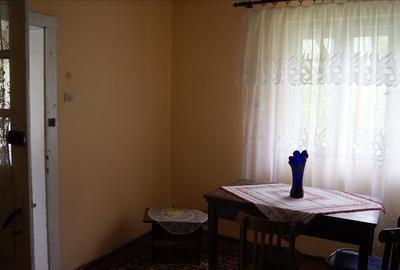 10 hectare teren plus casa la munte in Buces, Hunedoara - 6