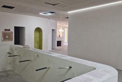 Zona Metrou Timpuri Noi sp D+P+E1 1.500mp Ideal Clinica Spital - 7