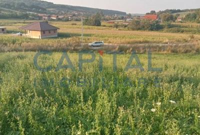 Teren intravilan 3500 mp Zalau - 2