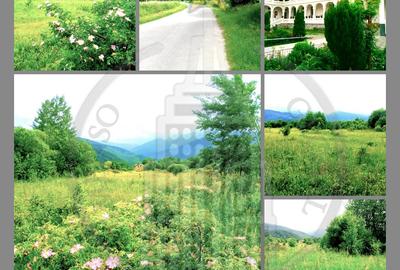 Teren extravilan  potențial turistic ridicat – Dejani, Recea, Munții Făgăraș - 1