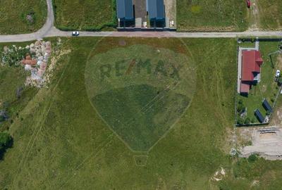 Teren Bran - Sohodol intrare 2100-4800mp - 11