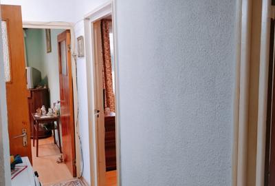 De vânzare Apartament 3 camere 70mp - Berceni, Almasu Mare - 13