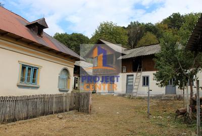 Casa si teren 5.000 mp, Stroesti - 5