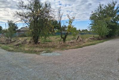 Teren 2262mp lac Dorobantu cu potențial pentru construcții - 2
