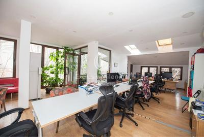 Vila/ Casa Mircea Vulcănescu - Cismigiu Birouri - 4