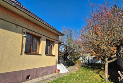 TEREN /CASA DE VANZARE , 1.580 , AVRAM IANCU - 3