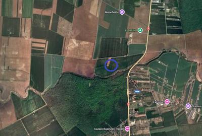 Teren Construcții intravilan de 3293 mp, în Snagov