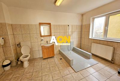 Casa 10 camere, 878 mp teren, toate utilitatile, Barabant - 20
