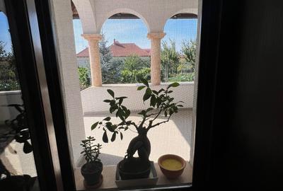 Casa 'din vis' frumoasa ,cocheta, la sol, caramida, 2014, 980 mp teren, M.Kogaln - 23