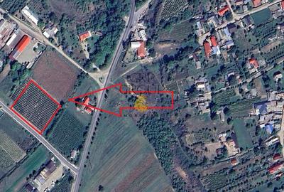 Teren intravilan 2700 mp, deschidere 41 ml, Movilita – Vrancea - 5