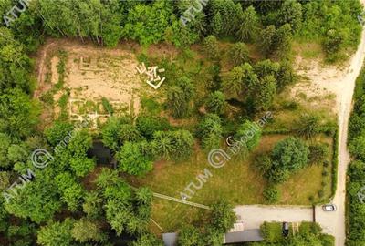 Teren intravilan 3000 mp in Porumbacu de Sus din Sibiu - 4