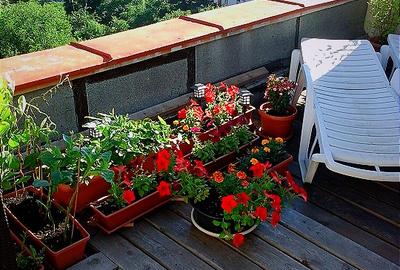 Garsonieră mobilata si utilata + terasă 30 mp, Ștefan cel Mare – Parcul Circului - 13