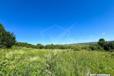 Oportunitate investitie, Chinteni, zona Macicas 31.600 MP - 7