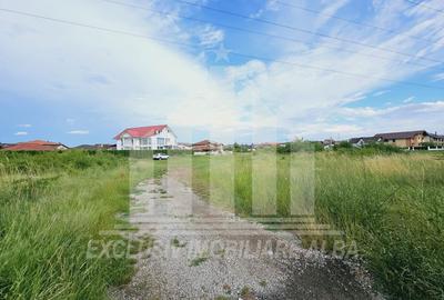 Teren intravilan | De vanzare | 5998 mp | 55 ml deschidere | Cetate - 3