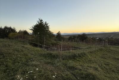 Teren Construcții extravilan de 1000 mp, în Exterior Sud