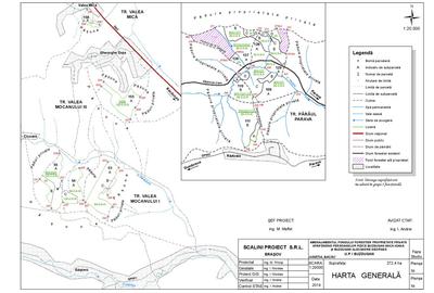 Bacau ,padure veche si bine pazita - 1