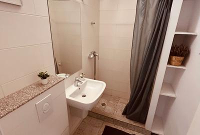 Piata Unirii - Bd Natiunile Unite - apartament renovat - 5