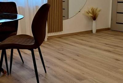 Apartament 2 camere cu gradina și garaj Băneasa - 7