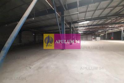 Spatiu Logistic langa Bucuresti Hala 5000 mp - 44