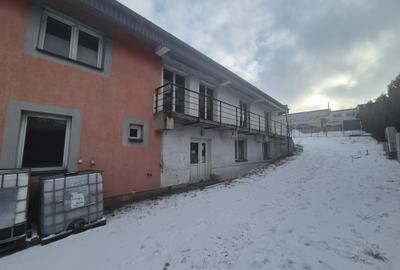 Spațiu comercial zona Traian Vuia de vânzare - 2