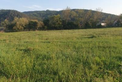 5200 sau 2600 mp teren vanzare,direct proprietar, parcelabil, apropiere Arinis - 1