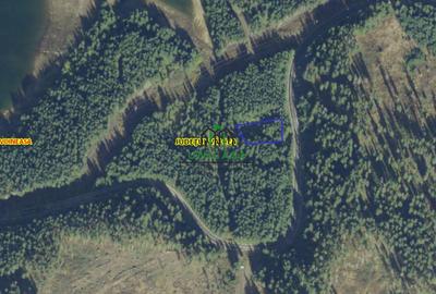Teren /Obarsia Lotrului /DN 7A - 3