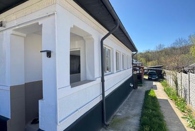 Casa sat Palilula - 1