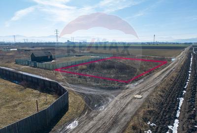 Teren intravilan de vanzare Hălchiu - 5