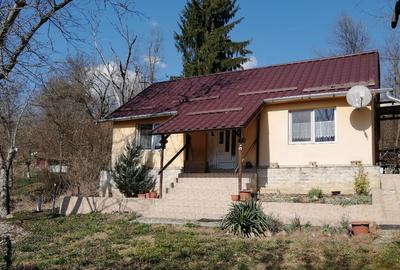 Casă individuală cu 2 camere în Conop