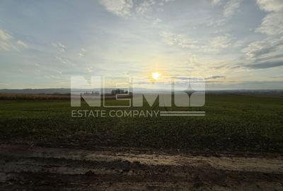 Teren agricol extravilan de 12400000 mp, în Grănicești