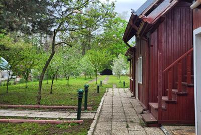 Refugiul tău verde, aproape de oraș la Snagov - 5