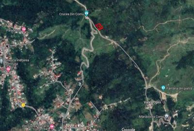 Teren intravilan de vanzare in Cornu de Jos - 5
