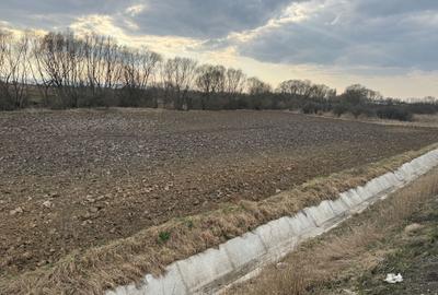 Teren extravilan | Rădăuți | 36 ARI - 13