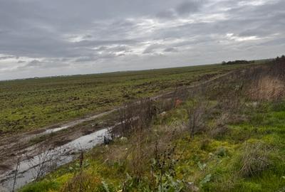 Teren intravilan construibil utilități la 20 metri. - 2