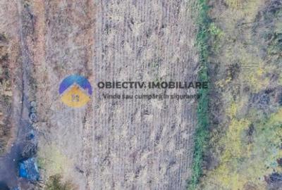 Teren de vânzare 11.766 mp – Costișa, județul Neamț - 3