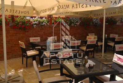 Afacere la cheie, in apropierea Castelului Corvinilor in Hunedoara - 32