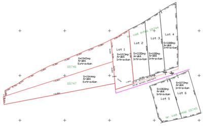 Teren Construcții intravilan de 11000 mp, în Sohodol