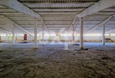 Hala industriala 2000 mp + teren 2776 mp | Rasnov – zona industriala Chimica - 9