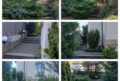 Apartament în vilă, Andrei Muresanu, 185 mp cu terasă și grădină - 1