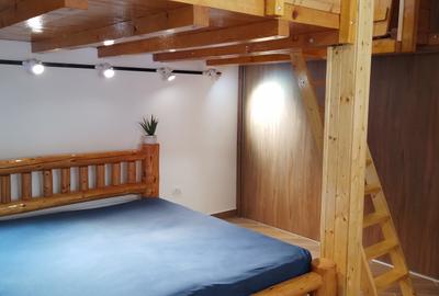 Imobil format din 2 corpuri individuale,un singur proprietar, zona Iancului - 17