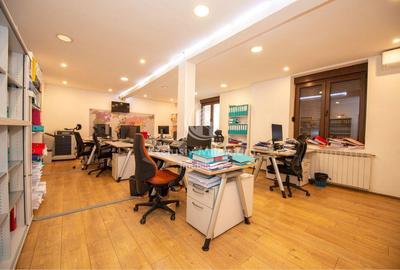 Vila/ Casa Mircea Vulcănescu - Cismigiu Birouri - 2