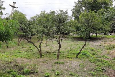 Teren intravilan de vanzare Basca Chiojdului - 2