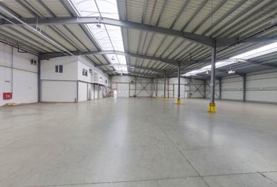 Parc industrial cu platformă betonată lângă A1 - 4